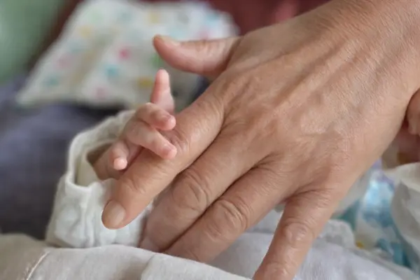 祖父母の手と孫の手