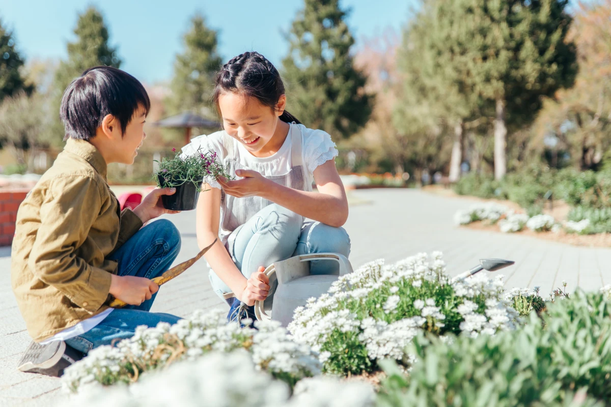 兄弟が花を植えているところ