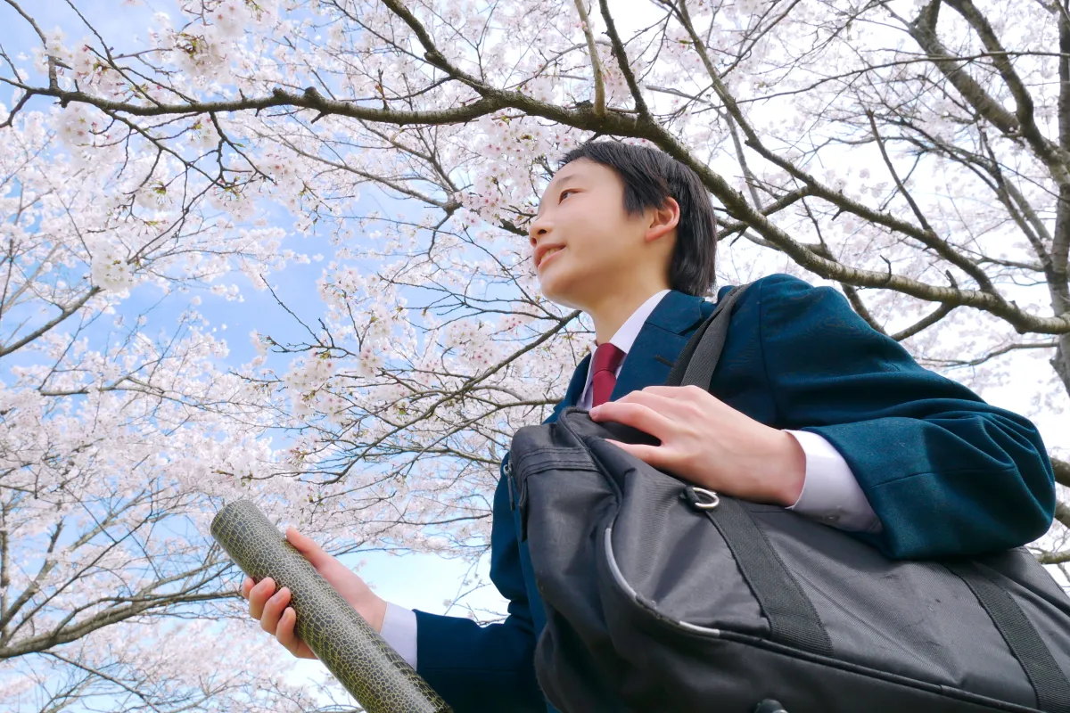 桜の木の下卒業証書を持つ男子中学生